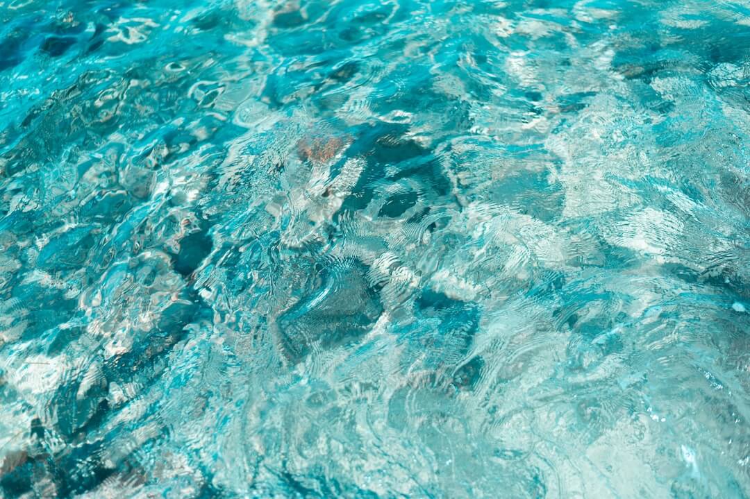 Step-by-Step Process of Dead Algae Suction Removal Image