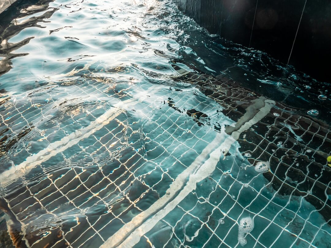 Choosing the Right Pool Motor Troubleshooting Partner Image